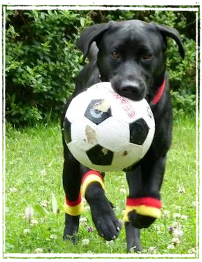 Sisko mit Ball Sisko mit Ball