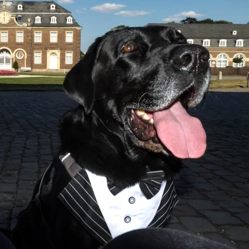 begleite mich zu meinem Instagram-Account