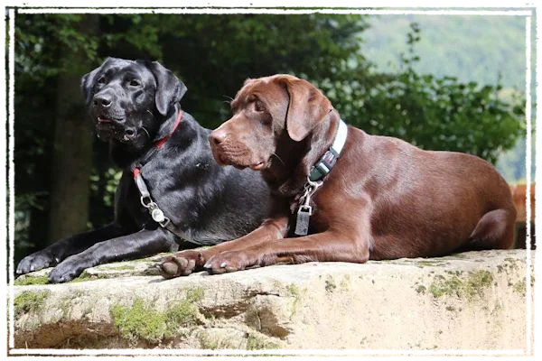 Sisko & Milow Sisko & Milow