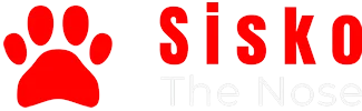 Logo SISKO