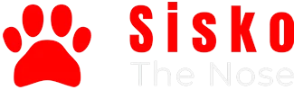Logo SISKO
